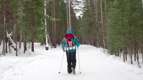 Mens met rugzak wandelen gooien het winterbos. — Stockvideo