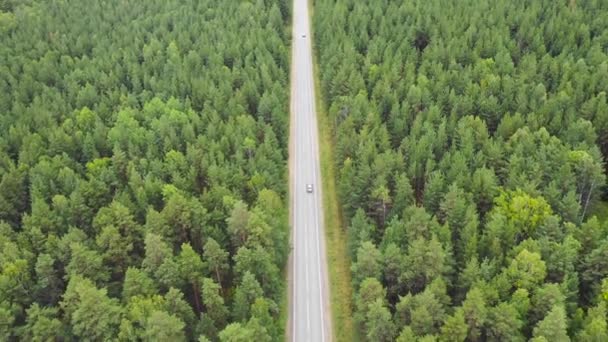 Аерофотозйомка автомобіля на заміській дорозі в лісі . — стокове відео