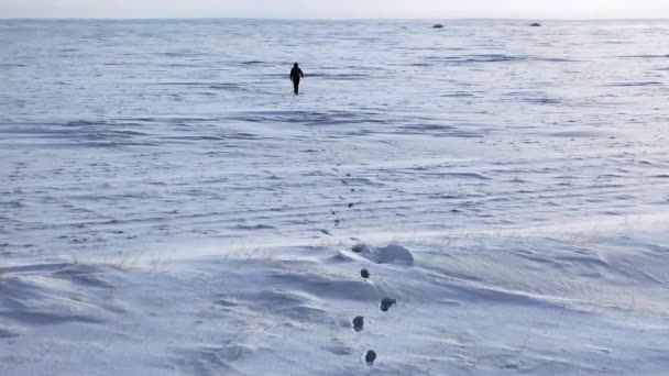 Osamělé lidské procházky vrhají nekonečnou sněhovou poušť. — Stock video