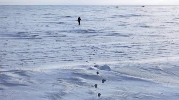 Lonely human walks throw the boundless snow desert. — Stock Video