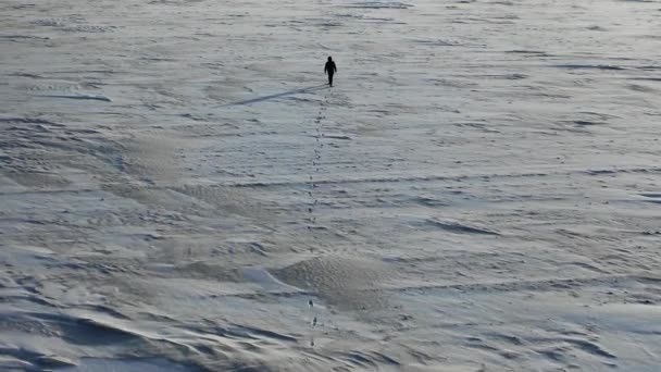 Aerial top view of a man with a backpack walking by the tundra. — Stok video