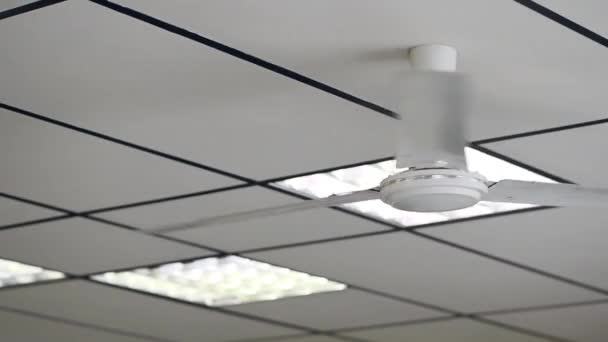 Sistema de enfriamiento de hélices en una oficina moderna . — Vídeo de stock