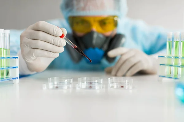 Forscher in einem Labor, das eine Blutprobe in eine Petrischale tröpfelt. Fokus auf eine Pipette. — Stockfoto