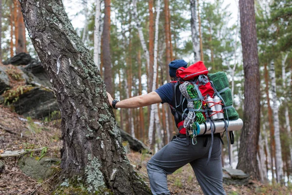 Randonneur avec un sac à dos dans la forêt. Vue arrière . — Photo