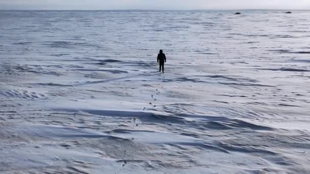 Hava manzarası: Yalnız insan karlı bir tarlada yürüyor. — Stok video
