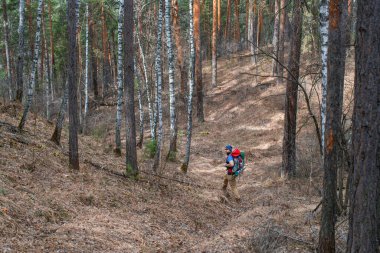 Büyük ormandaki küçük adam..