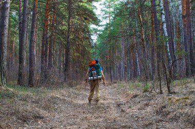 Yürüyen bir insanın arka görüntüsü Ormanı fırlatır.