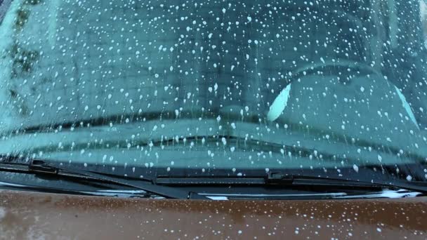 Close up άποψη ενός άνδρα πλένουν προσεκτικά το αγαπημένο του αυτοκίνητο παρμπρίζ. — Αρχείο Βίντεο