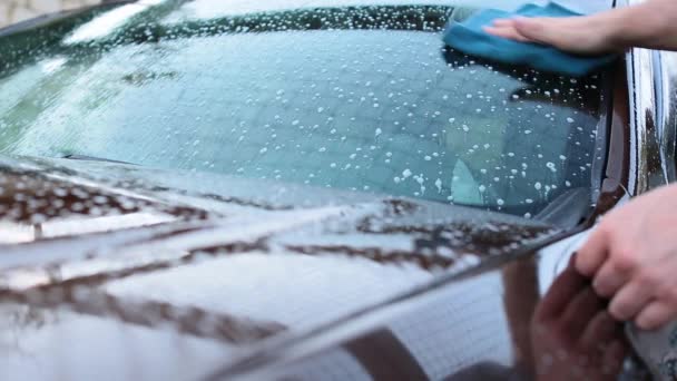 Man carefully wash his car windscreen and roof — Stock Video