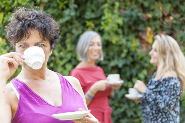 Señora bebiendo una taza de té con amigos — Foto de Stock