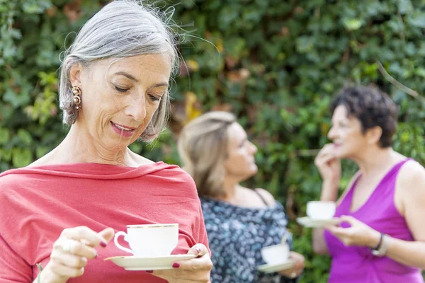 Dame boire une tasse de thé avec des amis — Photo