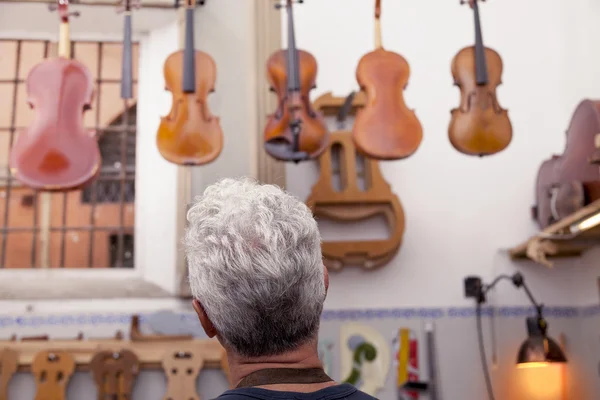 Retrato do criador de violino maduro enquanto olha os violinos em seu — Fotografia de Stock