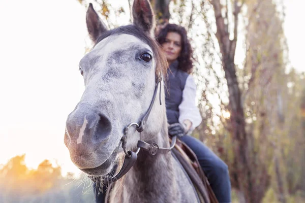 Всадница ездит на лошади по проселочным дорогам осенью. — стоковое фото