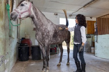 atını sürmek önce çekici Bayan binici mamülleri