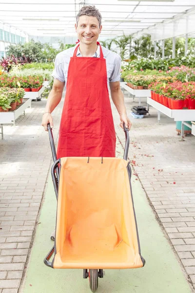 Flower seller pushes a wheelbarrow in a greenhouse — Stock Photo, Image