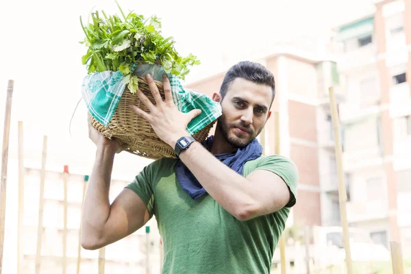 Onun bahçesinde sebze bir sepeti taşıyan genç çiftçi — Stok fotoğraf