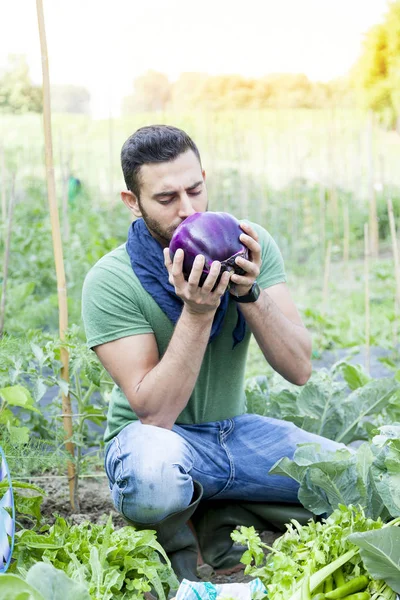 Joven granjero huele una berenjena púrpura en su jardín — Foto de Stock
