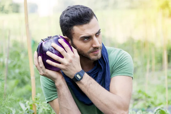 Jeune agriculteur regarde une aubergine pourpre dans son jardin — Photo