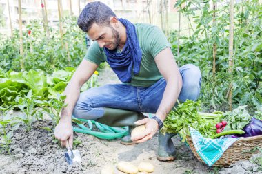 patates sebze bahçesinde genç adam ortaya çıkarır