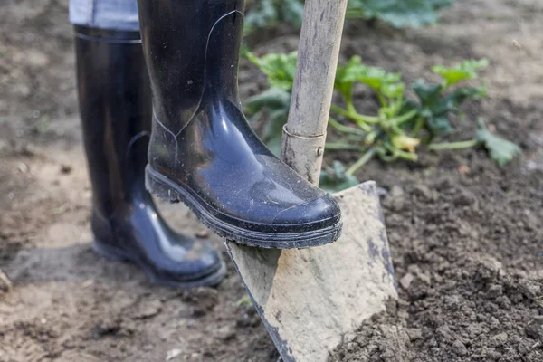 Kvinna som gräva i trädgården med svarta stövlar — Stockfoto