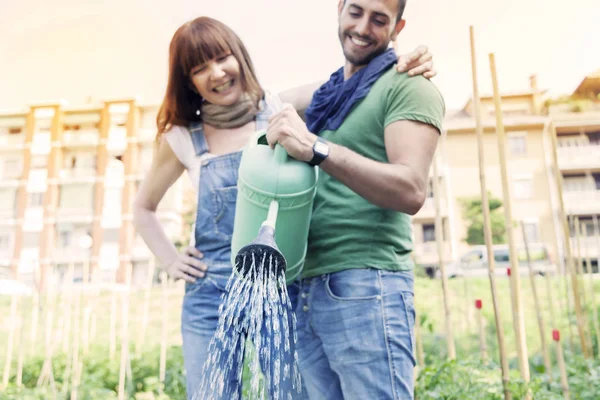 Beau couple fiancé arrosage des plantes dans le jardin — Photo