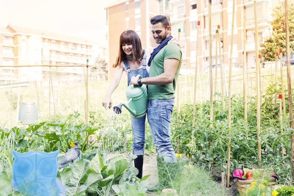 Beautiful engaged couple watering plants in the garden — Stock Photo, Image