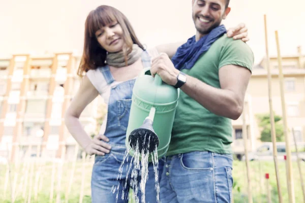 Beautiful engaged couple watering plants in the garden Royalty Free Stock Images