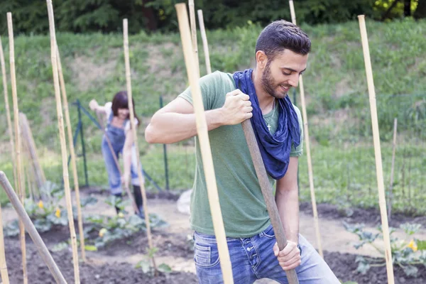 Retrato de un joven jardinero trabajando en su invernadero — Foto de Stock