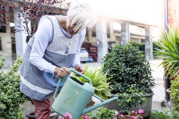 Attractive housewife watering her flowers with love — Stock Photo, Image