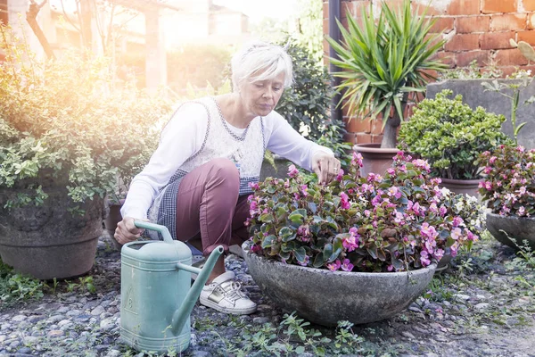 Attractive housewife watering her flowers with love — Stock Photo, Image