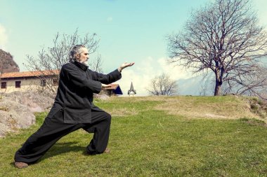 Tai Chi disiplin açık havada pratik olgun adam