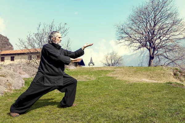 Hombre maduro practicando Tai Chi disciplina al aire libre —  Fotos de Stock