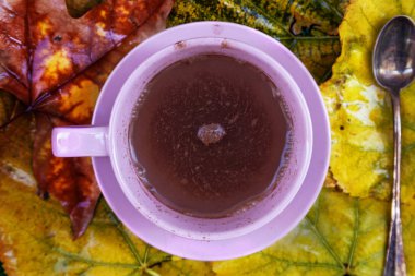 sıcak çikolata renkli yaprakları üzerinde