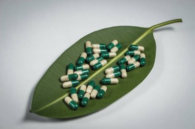 Kapsül üzerindeki yeşil yaprak yığını