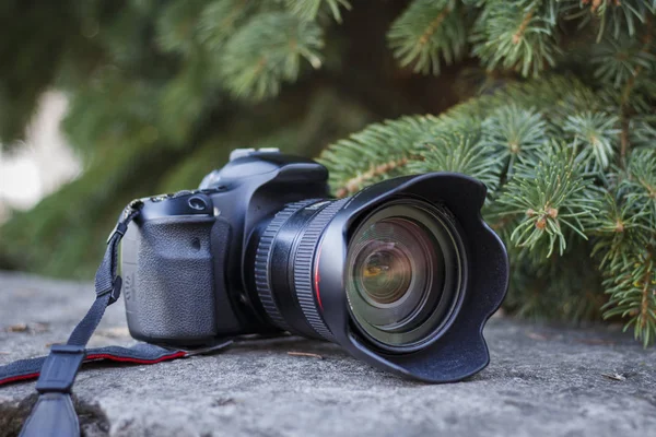 Yeşil bir Noel arka plan üzerinde siyah dijital fotoğraf makinesi yatıyor