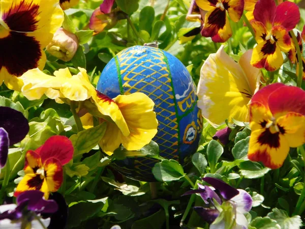 Blue easter egg hidden in flowers.