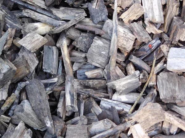 Talaş üzerinde üstten görünüm.