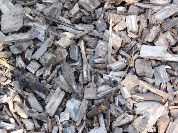 Talaş üzerinde üstten görünüm.