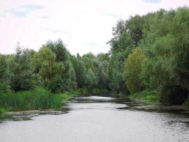 Parkta güzel bir nehir.