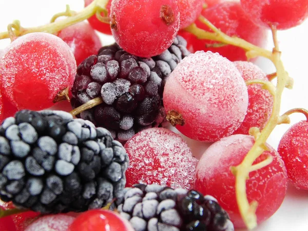 Frozen red currant and mulberry macro photo. — Stock Photo, Image