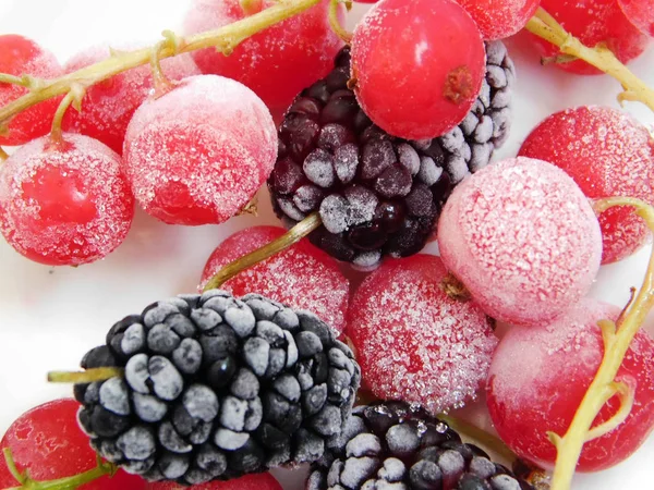 Frozen red currant and mulberry macro photo. — Stock Photo, Image