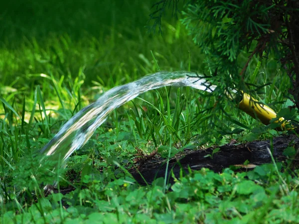 Water flowing from the pipe to the grass. — Stock Photo, Image