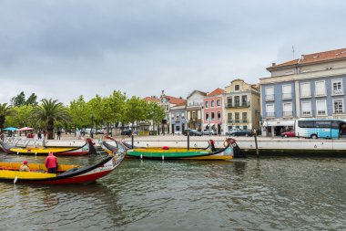 Moliceiro teknem ile yelken kanalı Aveiro, Portekiz