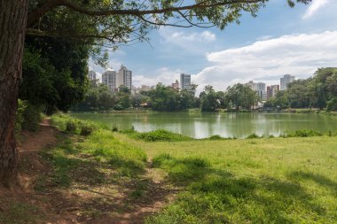 Aclimacao Park Göl Manzaralı Sao Paulo
