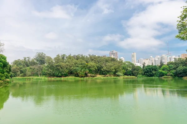 Le lac dans le parc Aclimacao à Sao Paulo — Photo