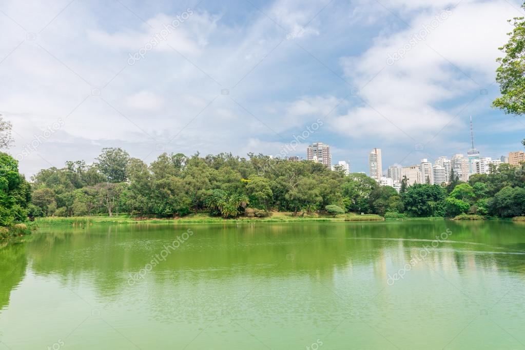 The lake in the Aclimacao Park in Sao Paulo