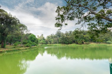 Sao Paulo, Brezilya - 15 Ekim 2016: Aclimacao Park şehir gökdelenler bir bakış. Bu park Sao Paulo ilk Hayvanat Bahçesi yapıldı ve Carlos Botelho, Brezilya tarafından kurulan.