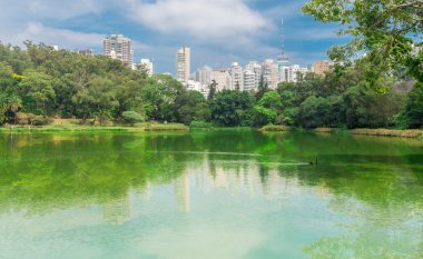 Aclimacao Park şehir gökdelenlerin görünümü