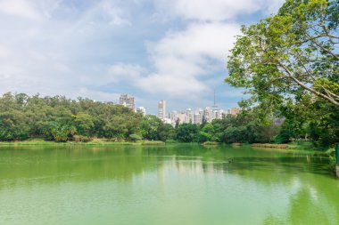 Sao Paulo, Brezilya - 15 Ekim 2016: Aclimacao Park şehir gökdelenler bir bakış. Bu park Sao Paulo ilk Hayvanat Bahçesi yapıldı ve Carlos Botelho, Brezilya tarafından kurulan.