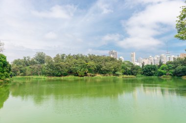 Sao Paulo, Brezilya - 15 Ekim 2016: Aclimacao Park gölde. Bu Sao Paulo ilk Hayvanat Bahçesi ve Carlos Botelho, Brezilya tarafından kurulan.
